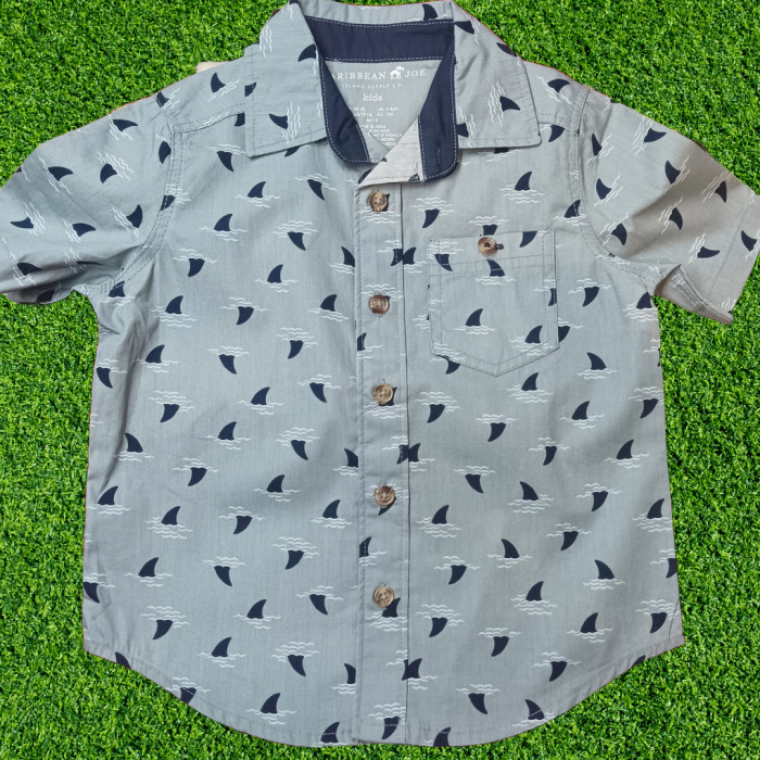 Boys-Grey-Colour-printed-Shirt